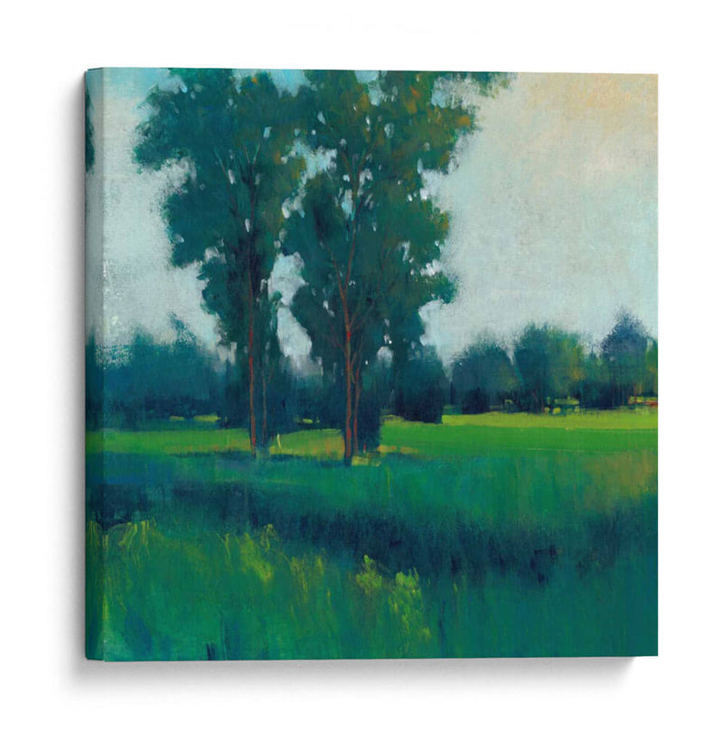 Tarde Sol I - Tim OToole | Cuadro decorativo de Canvas Lab