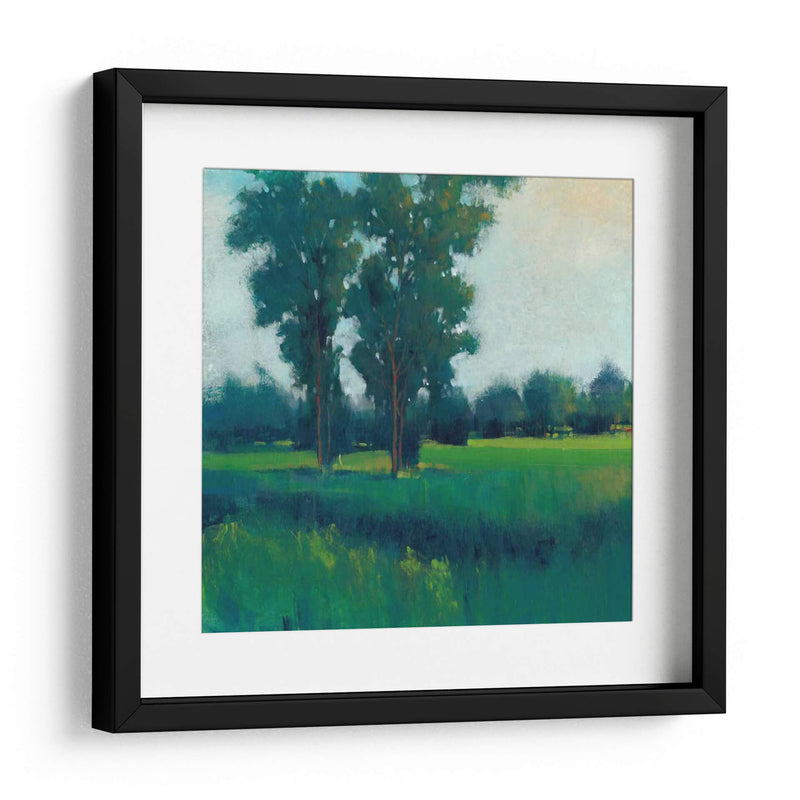 Tarde Sol I - Tim OToole | Cuadro decorativo de Canvas Lab