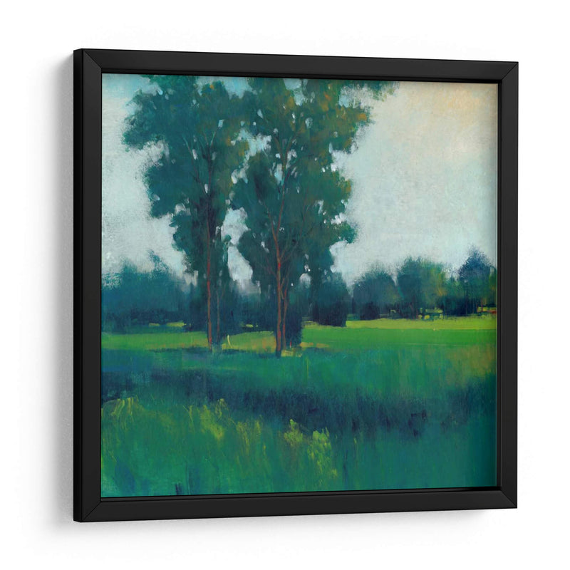 Tarde Sol I - Tim OToole | Cuadro decorativo de Canvas Lab