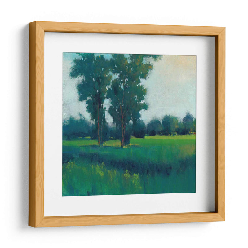 Tarde Sol I - Tim OToole | Cuadro decorativo de Canvas Lab