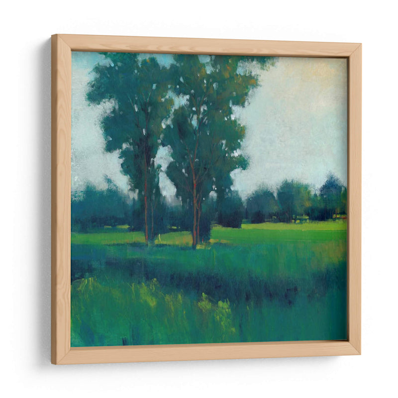 Tarde Sol I - Tim OToole | Cuadro decorativo de Canvas Lab