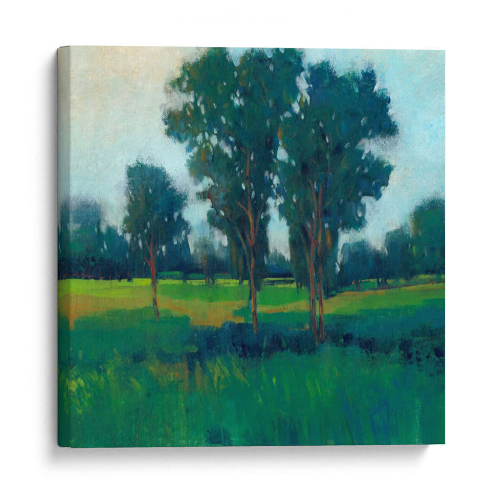 Tarde Sol Ii - Tim OToole | Cuadro decorativo de Canvas Lab