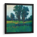 Tarde Sol Ii - Tim OToole | Cuadro decorativo de Canvas Lab