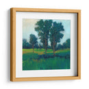 Tarde Sol Ii - Tim OToole | Cuadro decorativo de Canvas Lab