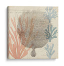 Mar Efímera I - Grace Popp | Cuadro decorativo de Canvas Lab