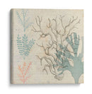 Sea Ephemera Ii - Grace Popp | Cuadro decorativo de Canvas Lab