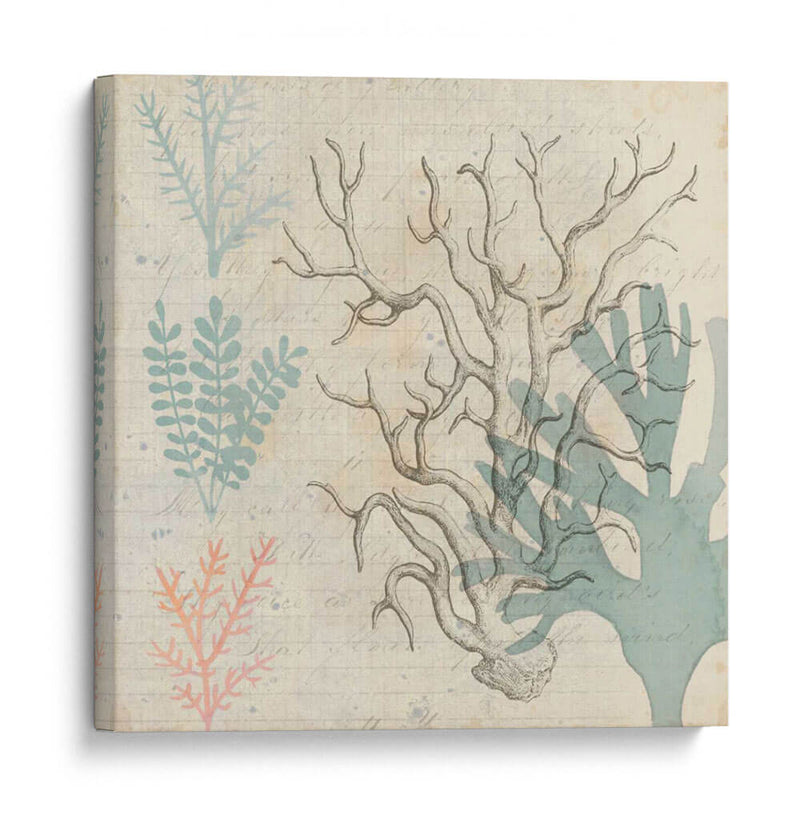 Sea Ephemera Ii - Grace Popp | Cuadro decorativo de Canvas Lab