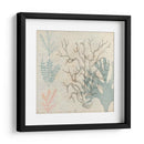 Sea Ephemera Ii - Grace Popp | Cuadro decorativo de Canvas Lab