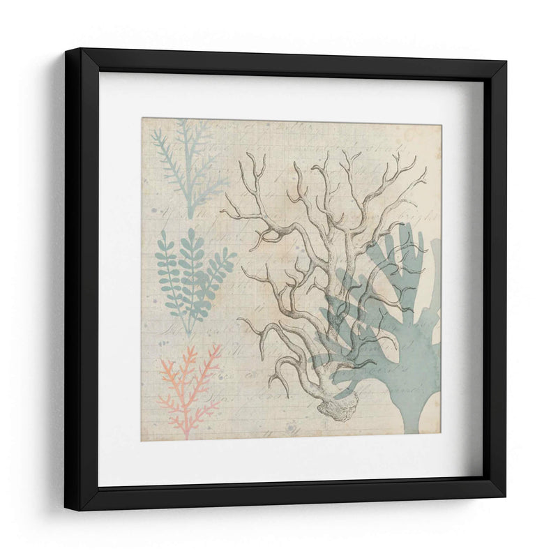 Sea Ephemera Ii - Grace Popp | Cuadro decorativo de Canvas Lab