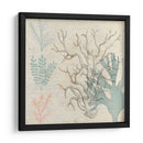 Sea Ephemera Ii - Grace Popp | Cuadro decorativo de Canvas Lab