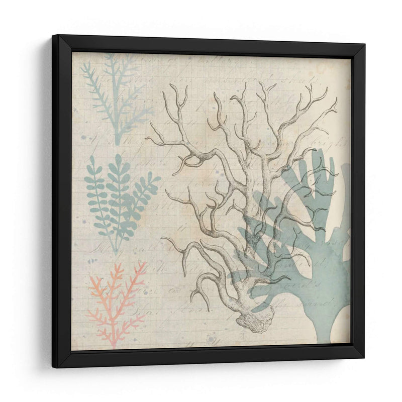 Sea Ephemera Ii - Grace Popp | Cuadro decorativo de Canvas Lab