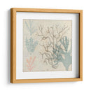 Sea Ephemera Ii - Grace Popp | Cuadro decorativo de Canvas Lab