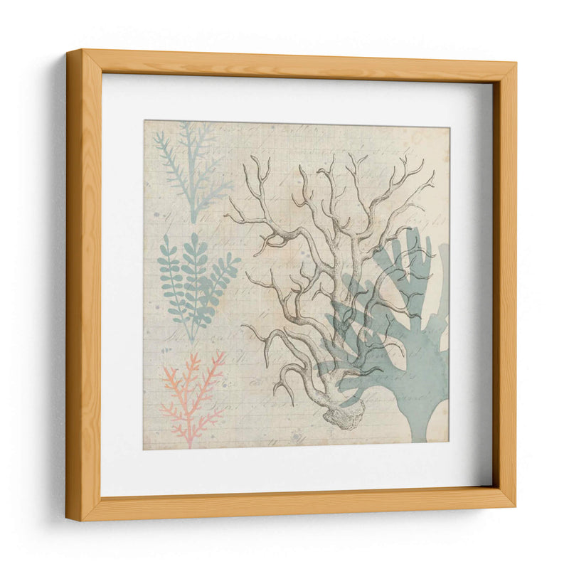 Sea Ephemera Ii - Grace Popp | Cuadro decorativo de Canvas Lab