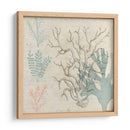 Sea Ephemera Ii - Grace Popp | Cuadro decorativo de Canvas Lab