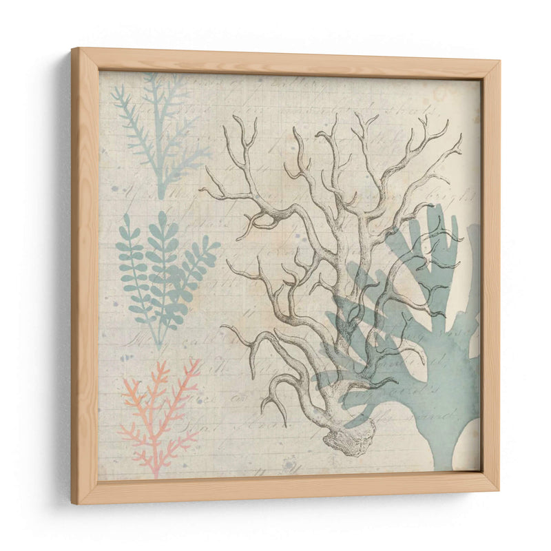 Sea Ephemera Ii - Grace Popp | Cuadro decorativo de Canvas Lab