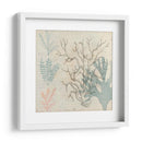 Sea Ephemera Ii - Grace Popp | Cuadro decorativo de Canvas Lab