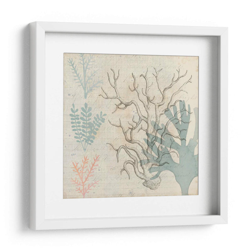 Sea Ephemera Ii - Grace Popp | Cuadro decorativo de Canvas Lab