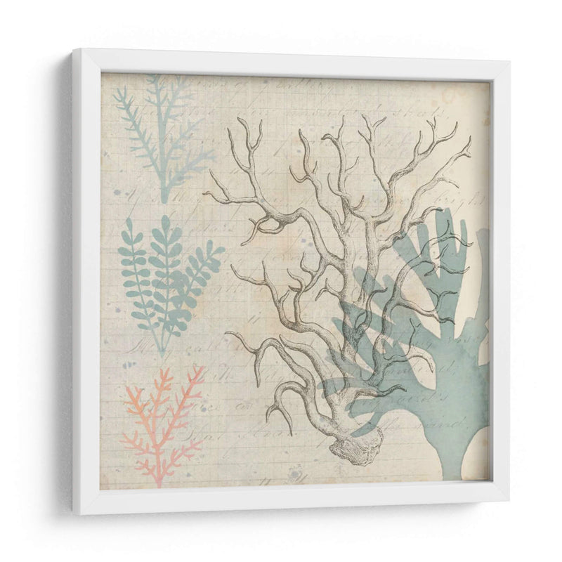 Sea Ephemera Ii - Grace Popp | Cuadro decorativo de Canvas Lab