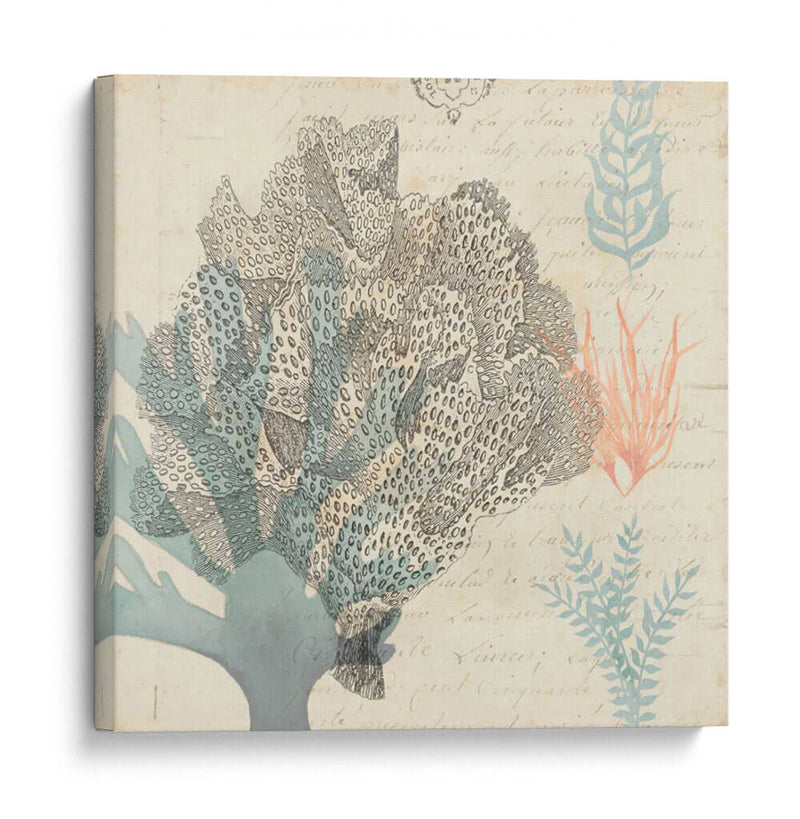 Sea Ephemera Iii - Grace Popp | Cuadro decorativo de Canvas Lab