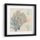 Sea Ephemera Iii - Grace Popp | Cuadro decorativo de Canvas Lab