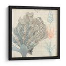 Sea Ephemera Iii - Grace Popp | Cuadro decorativo de Canvas Lab