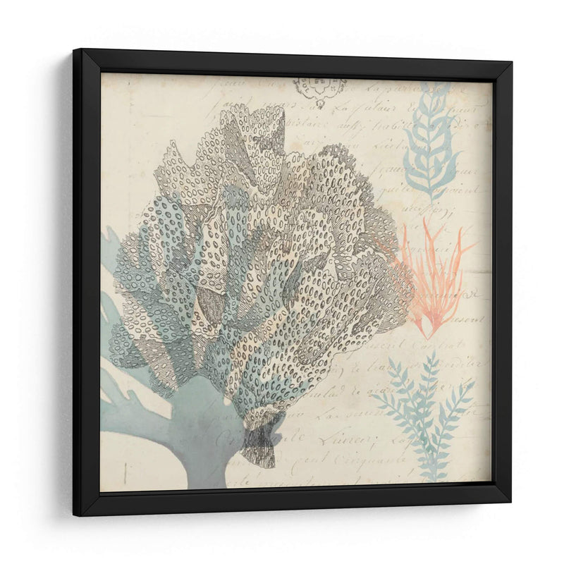 Sea Ephemera Iii - Grace Popp | Cuadro decorativo de Canvas Lab