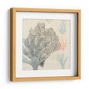 Sea Ephemera Iii - Grace Popp | Cuadro decorativo de Canvas Lab