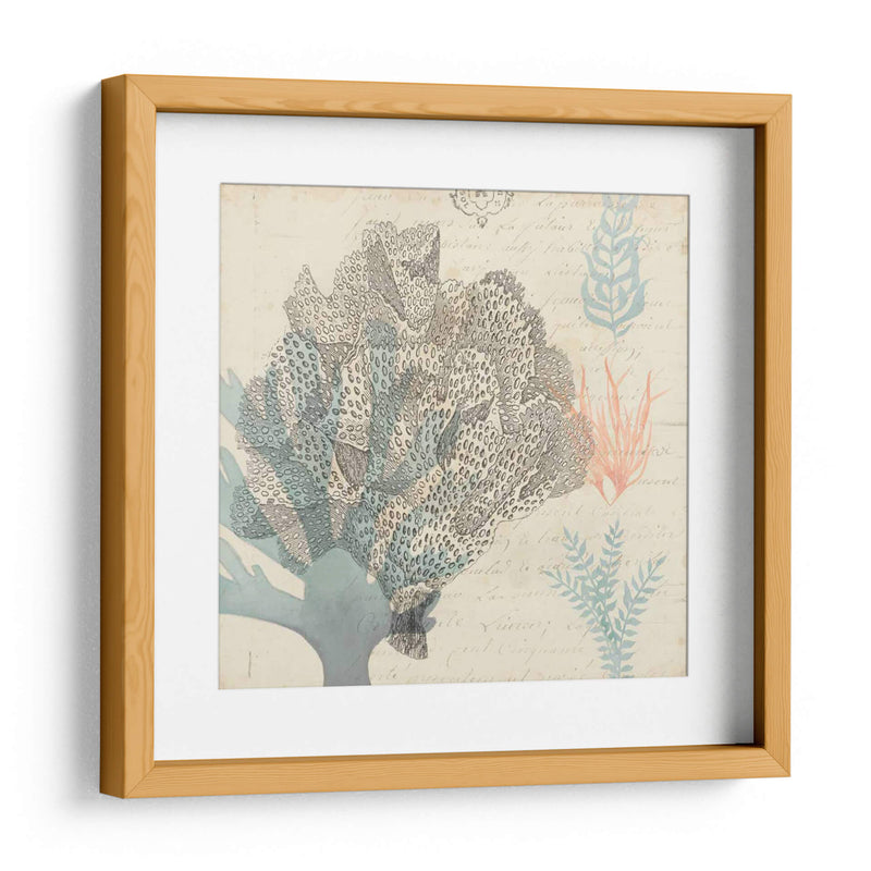 Sea Ephemera Iii - Grace Popp | Cuadro decorativo de Canvas Lab