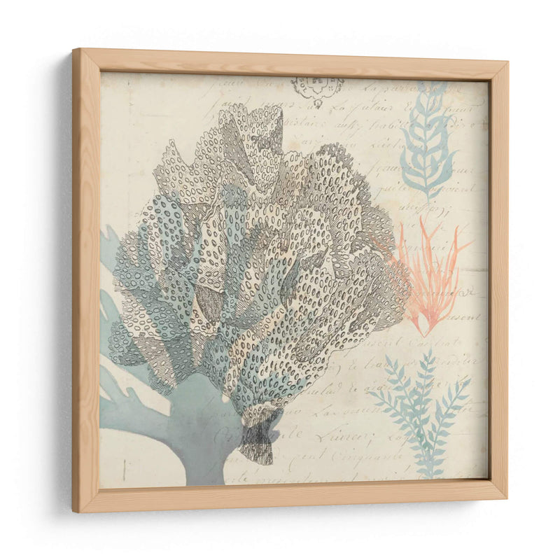 Sea Ephemera Iii - Grace Popp | Cuadro decorativo de Canvas Lab