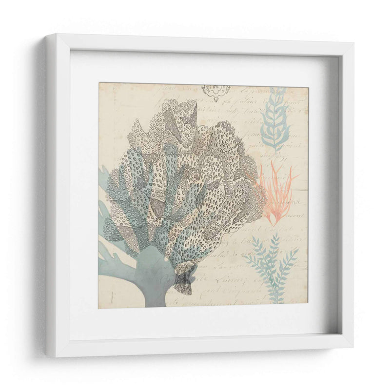 Sea Ephemera Iii - Grace Popp | Cuadro decorativo de Canvas Lab