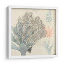 Sea Ephemera Iii - Grace Popp | Cuadro decorativo de Canvas Lab