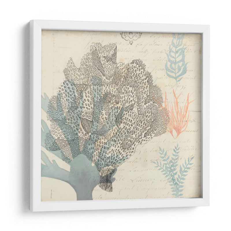 Sea Ephemera Iii - Grace Popp | Cuadro decorativo de Canvas Lab