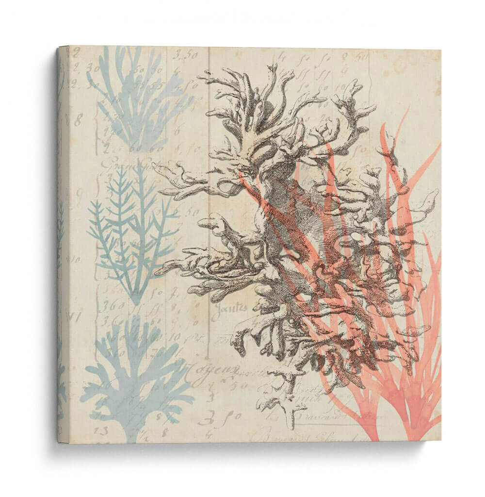 Sea Ephemera Iv - Grace Popp | Cuadro decorativo de Canvas Lab