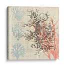 Sea Ephemera Iv - Grace Popp | Cuadro decorativo de Canvas Lab