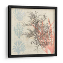 Sea Ephemera Iv - Grace Popp | Cuadro decorativo de Canvas Lab
