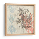 Sea Ephemera Iv - Grace Popp | Cuadro decorativo de Canvas Lab