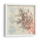 Sea Ephemera Iv - Grace Popp | Cuadro decorativo de Canvas Lab
