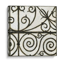 Puerta De Hierro Iv - Megan Meagher | Cuadro decorativo de Canvas Lab