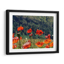 Amapolas rojas | Cuadro decorativo de Canvas Lab