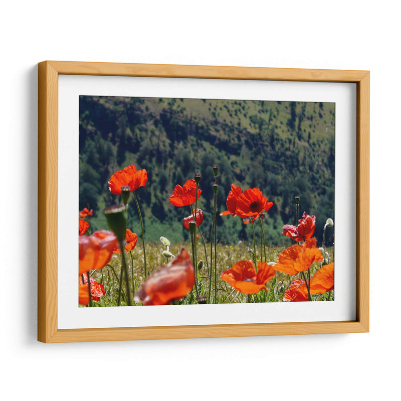 Amapolas rojas | Cuadro decorativo de Canvas Lab