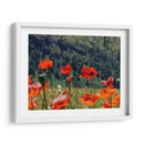 Amapolas rojas | Cuadro decorativo de Canvas Lab