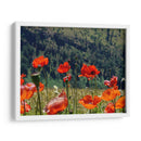 Amapolas rojas | Cuadro decorativo de Canvas Lab