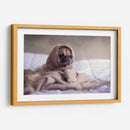 Pug encobijado | Cuadro decorativo de Canvas Lab
