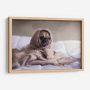 Pug encobijado | Cuadro decorativo de Canvas Lab