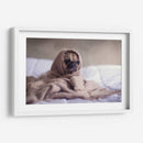 Pug encobijado | Cuadro decorativo de Canvas Lab