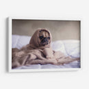 Pug encobijado | Cuadro decorativo de Canvas Lab