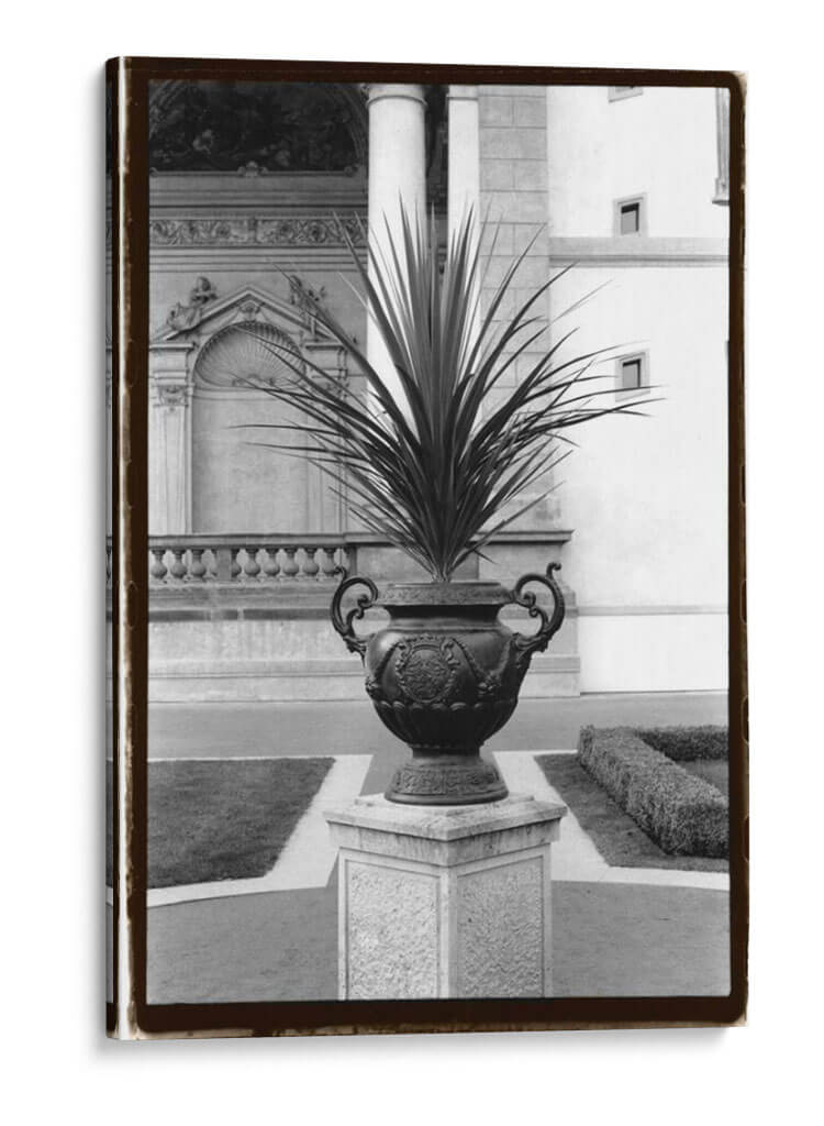 Urn Real I - Laura DeNardo | Cuadro decorativo de Canvas Lab