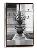 Urn Real I - Laura DeNardo | Cuadro decorativo de Canvas Lab