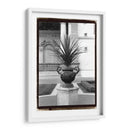 Urn Real I - Laura DeNardo | Cuadro decorativo de Canvas Lab