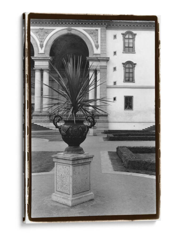 Royal Urn Ii - Laura DeNardo | Cuadro decorativo de Canvas Lab